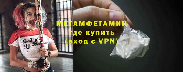 хмурый Тайга