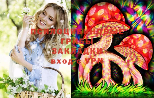 ешки Дмитровск
