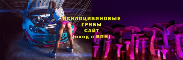 ешки Дмитровск