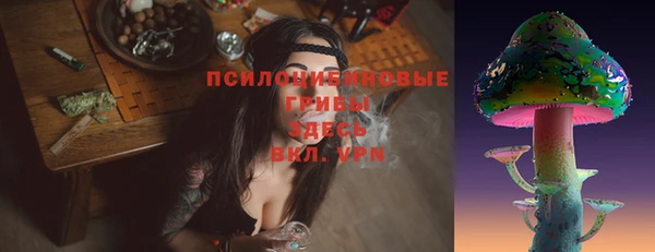 ешки Дмитровск