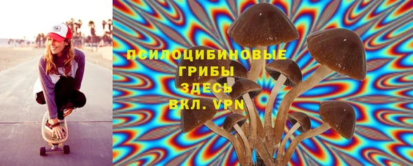 ешки Дмитровск