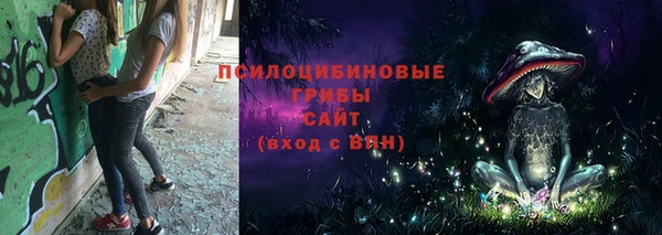 ешки Дмитровск