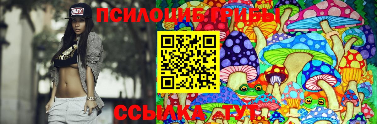 Псилоцибиновые грибы мухоморы Междуреченск