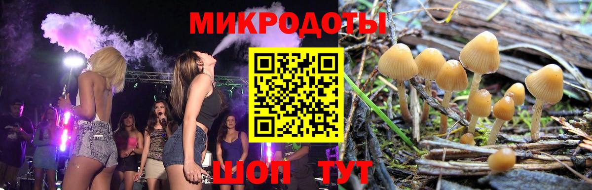 Псилоцибиновые грибы Psilocybe  Псилоцибиновые грибы мухоморы  Междуреченск 